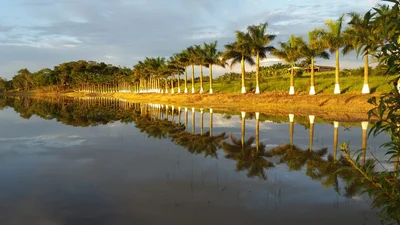 Fazenda Arizona - Photo 3