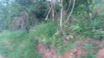 Rua Ludgero Fernandes de Oliveira - Photo 4