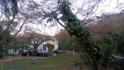 Salutaris - Photo 2