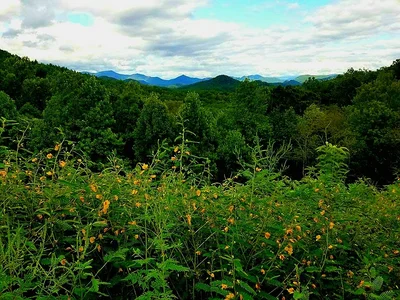 Chattahoochee Hills - Photo 2