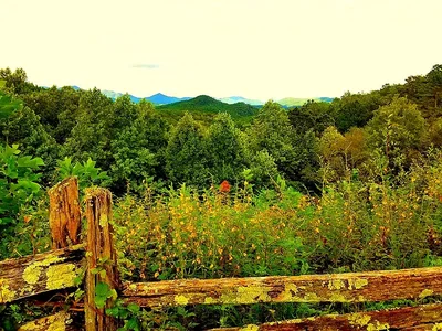 Chattahoochee Hills - Photo 3