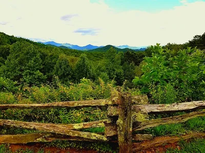 Chattahoochee Hills - Photo 4