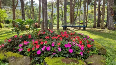 Barra Alegre - Photo 3