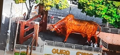 Ouro Fino - Photo 3