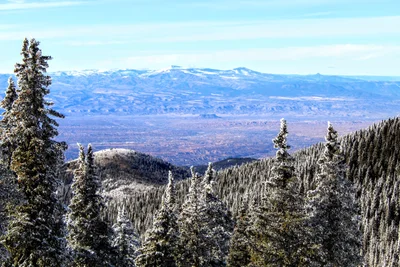 Los Alamos - Photo 2