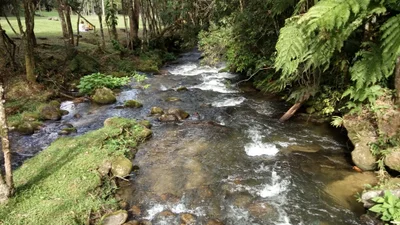 Bocaina de Minas - Photo 2