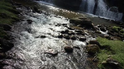 Bocaina de Minas - Photo 3