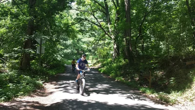Greenwood - Photo 3
