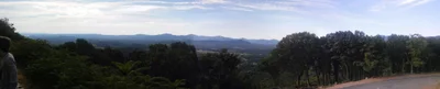 Greenwood - Photo 5