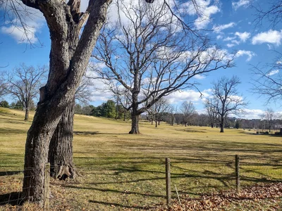 Blacksburg - Photo 3