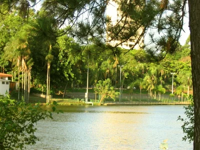 Araras - Photo 4