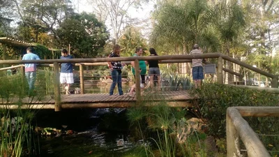 Araras - Photo 5