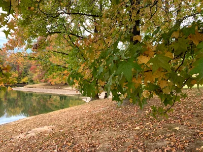 Chesterfield - Photo 5