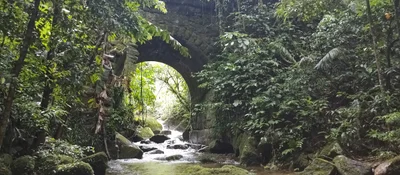 Cachoeiras de Macacu - Photo 3