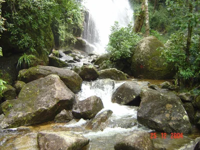 Itatiaia - Photo 3