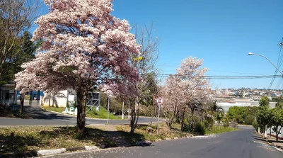 Itapira - Photo 3