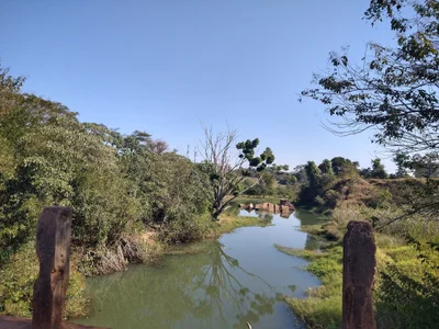 Piratininga - Photo 2
