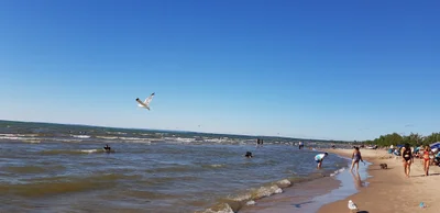 Wasaga Beach - Photo 4