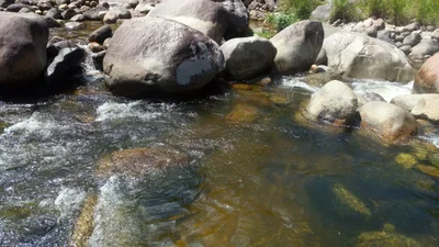 Santo Aleixo - Photo 2