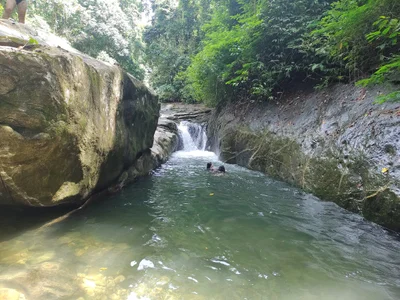 Guapimirim - Photo 3
