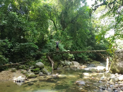 Guapimirim - Photo 4