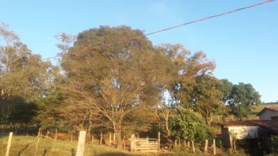 Socorro - Photo 3