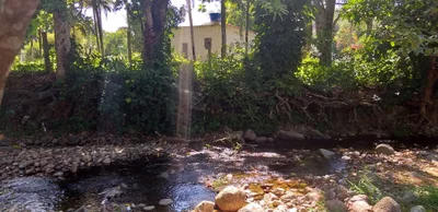 Rio d'Ouro - Photo 4