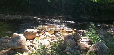 Rio d'Ouro - Photo 5