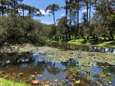 Parque da Lagoinha - Photo 5