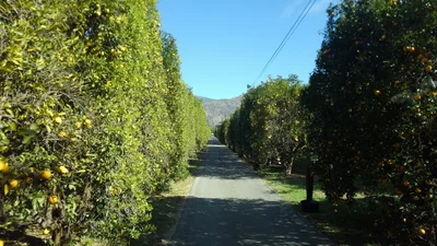 Pauma Valley - Photo 3