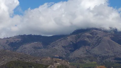 Pauma Valley - Photo 5