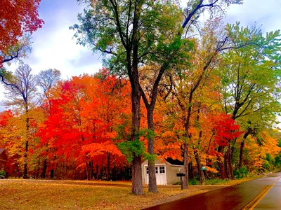 Chanhassen - Photo 3