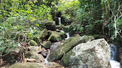 Raiz da Serra - Photo 2