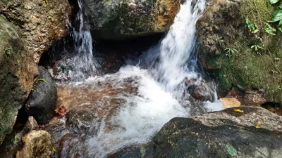 Raiz da Serra - Photo 3