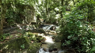Raiz da Serra - Photo 4
