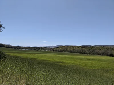 Fort Valley - Photo 5