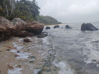 Trilha dos cardeiros - Photo 3