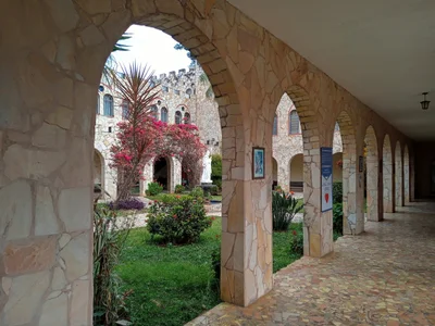 Roseira - Photo 3