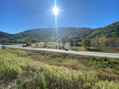 Corner Brook - Photo 2