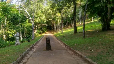 Parque da Cidade - Photo 4
