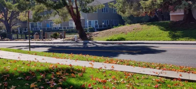 Sunnyvale - Photo 5