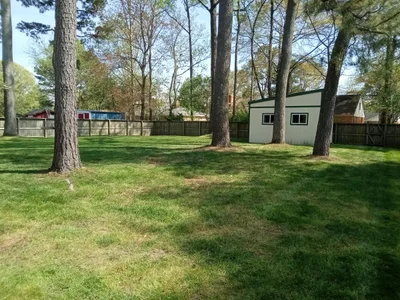 Chesapeake - Photo 2