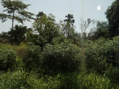 Brong-Ahafo Region - Photo 2