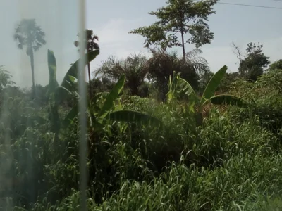 Brong-Ahafo Region - Photo 3