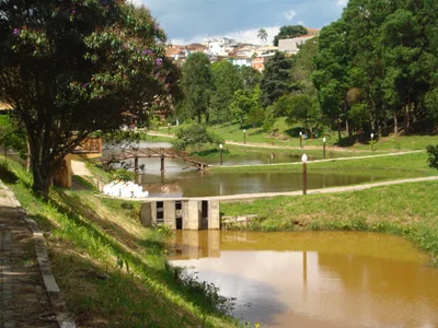 Cunha - Photo 5