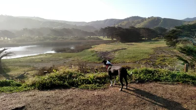 Pacifica - Photo 2