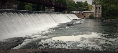 McMinnville - Photo 3