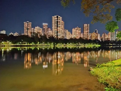 Londrina - Photo 4