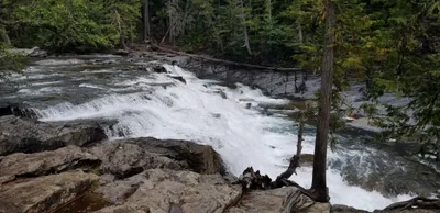 West Glacier - Photo 5