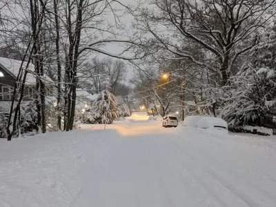 Leonia - Photo 2
